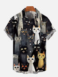 Camisa gato bonito
