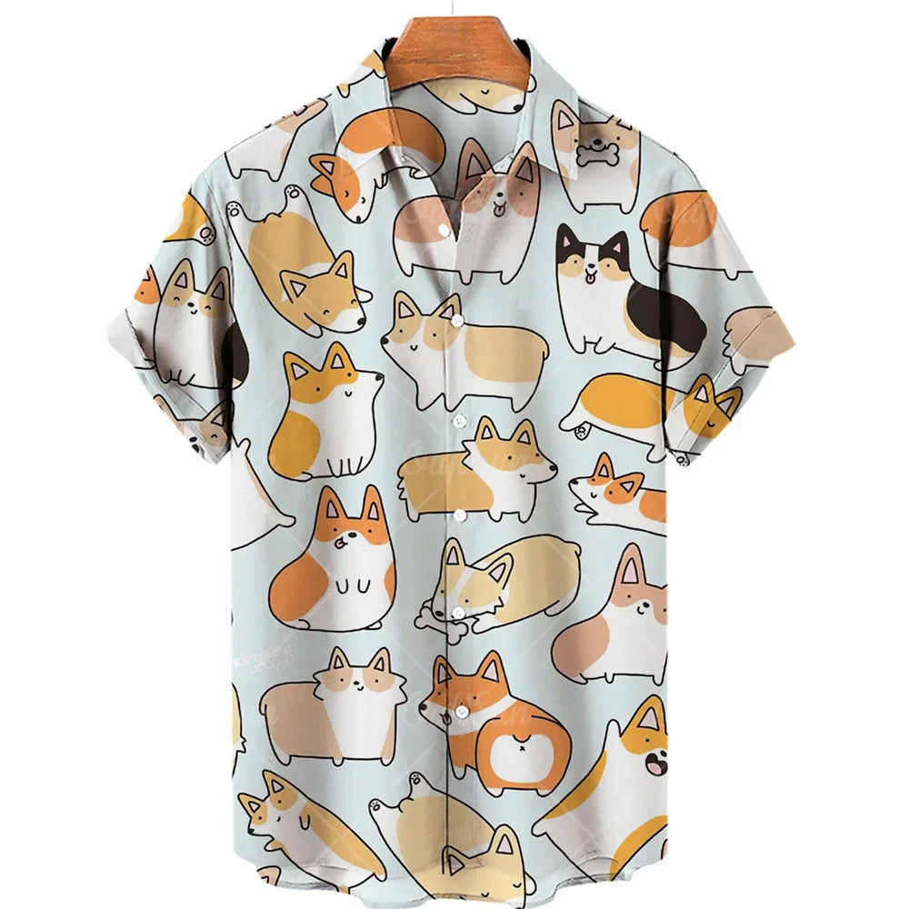 Camisa cat modern